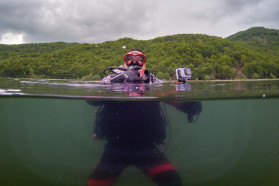 Some even fully submerged into the water.